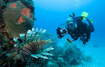 Diving in Punta Cana