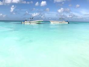 Saona