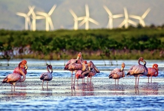 Bahia las Aguilas (Eagle Bay)