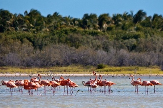 Bahia las Aguilas (Eagle Bay)