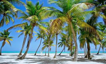 Wedding on the island Saona