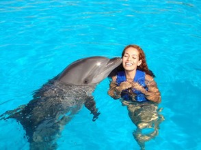 Swimming with dolphins