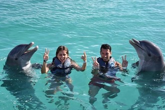 Swimming with dolphins