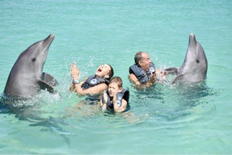 Swimming with dolphins