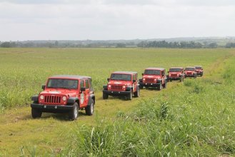 Сафари на джипах Wrangler 