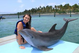 Плавание с дельфинами